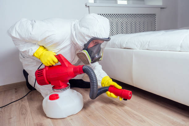 Best Affordable Pest Control Services  in Melissa, TX