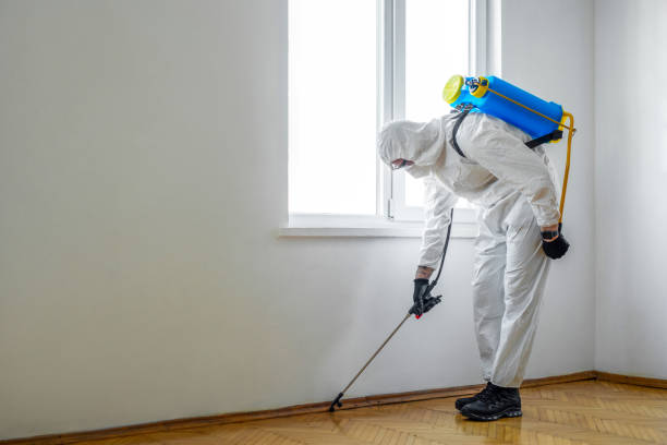 Wildlife Control Services in Melissa, TX