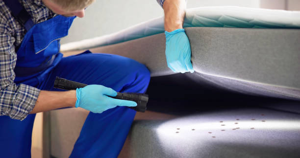 Best Pest Inspection Near Me  in Melissa, TX