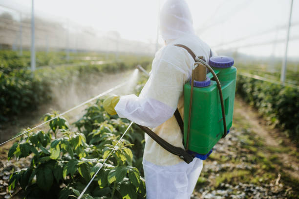 Best Best Pest Control Companies  in Melissa, TX